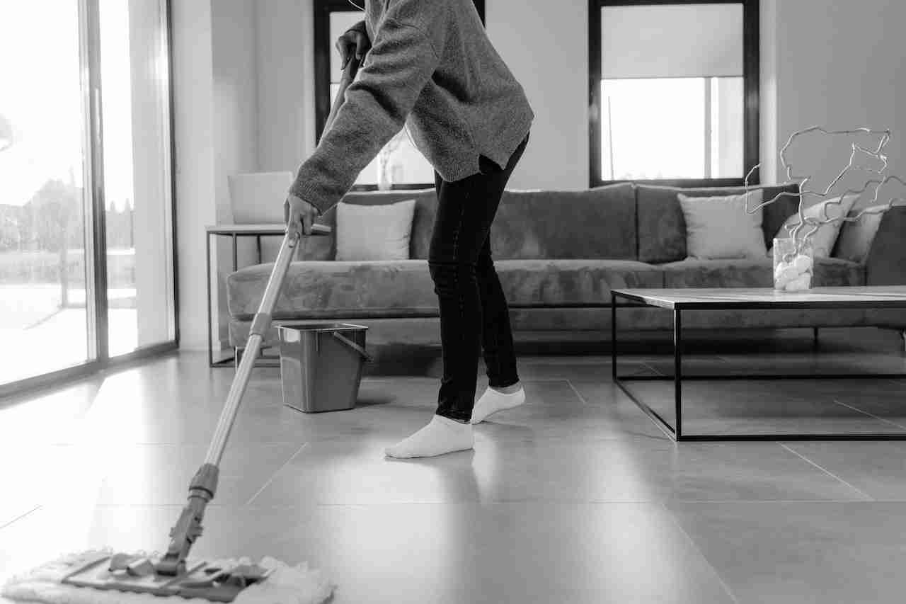 house cleaner